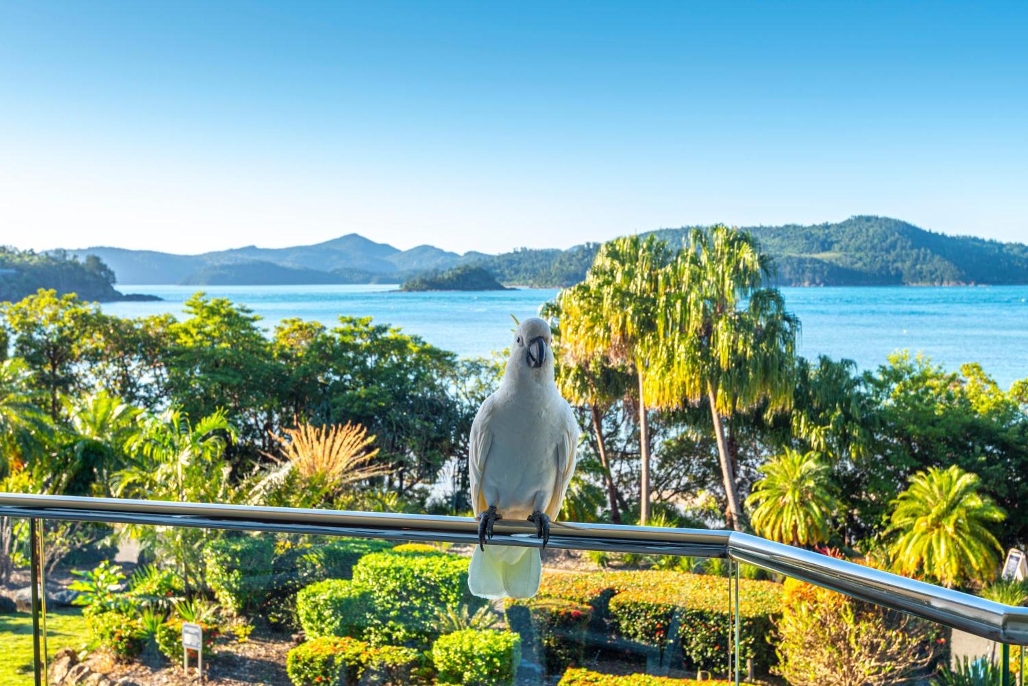 Lagoon Apartments On Hamilton Island By Hiha エクステリア 写真